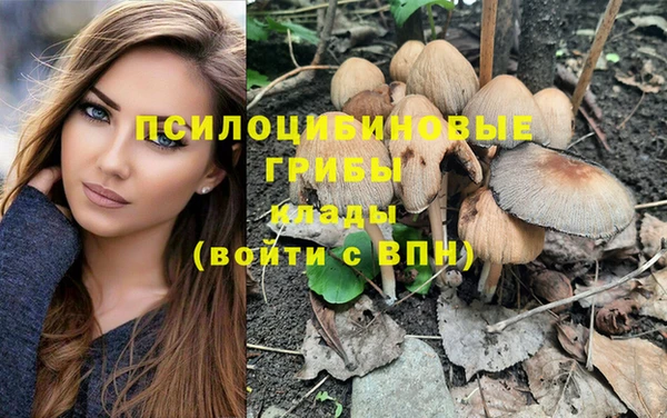прущий лед Балабаново